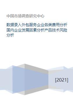 軟件外包服務企業多維剖析 成本結構、發展要素與技術風險管理